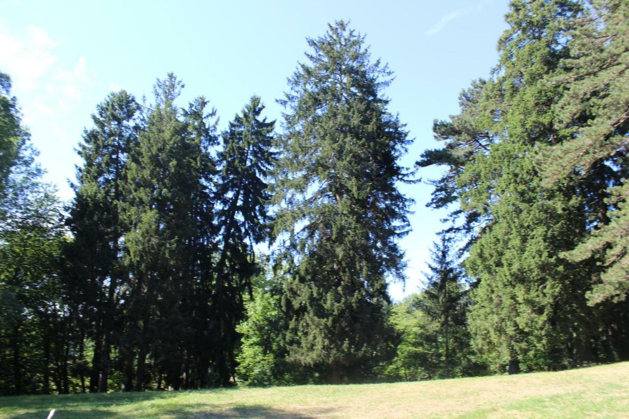 Gite 3 Du Chateau De Feschaux Villeneuve-sous-Pymont Esterno foto